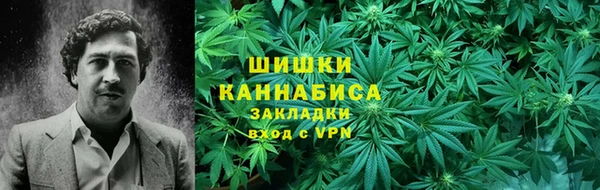 дмт Алзамай
